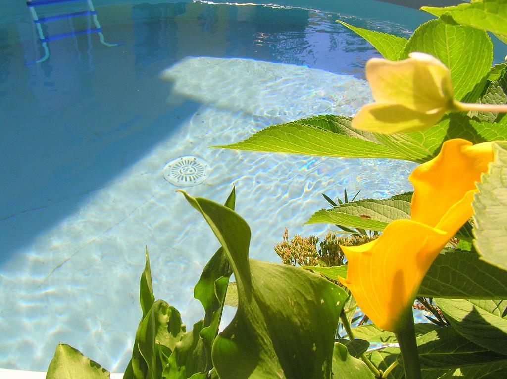 Apartments As Matulji Ngoại thất bức ảnh